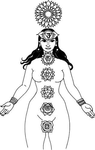 How to use this book The first half of this book describes traditional Tantra - фото 5