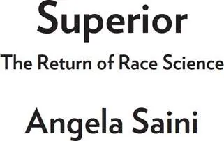 Superior The Fatal Return of Race Science - изображение 1