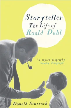Donald Sturrock Storyteller: The Life of Roald Dahl обложка книги