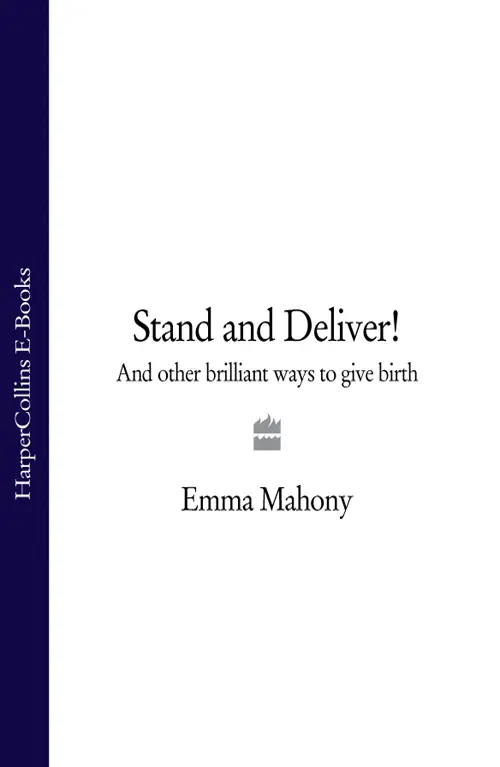 Stand and Deliver And other Brilliant Ways to Give Birth - изображение 1