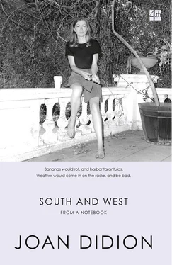 Joan Didion South and West: From A Notebook обложка книги