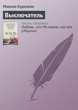 Максим Курочкин Выключатель обложка книги