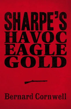Bernard Cornwell Sharpe 3-Book Collection 2: Sharpe’s Havoc, Sharpe’s Eagle, Sharpe’s Gold обложка книги