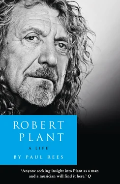 Paul Rees Robert Plant: A Life: The Biography обложка книги