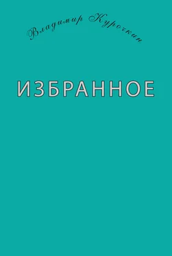 Владимир Курочкин Избранное (сборник) обложка книги