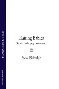 Steve Biddulph Raising Babies: Should under 3s go to nursery? обложка книги