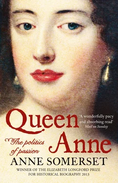 Anne Somerset Queen Anne: The Politics of Passion обложка книги