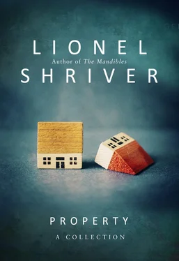 Lionel Shriver Property: A Collection обложка книги