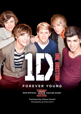 One Direction One Direction: Forever Young: Our Official X Factor Story обложка книги