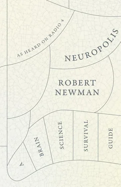 Robert Newman Neuropolis: A Brain Science Survival Guide обложка книги