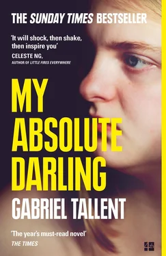 Gabriel Tallent My Absolute Darling: The Sunday Times bestseller обложка книги