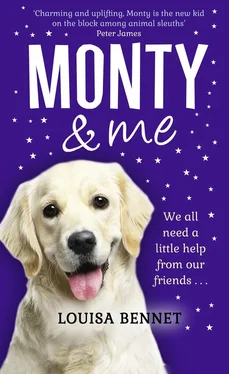Louisa Bennet Monty and Me: A heart-warmingly wagtastic novel! обложка книги