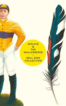 Nell Zink Mislaid & The Wallcreeper: The Nell Zink Collection обложка книги