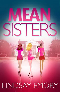 Lindsay Emory Mean Sisters: A sassy, hilariously funny murder mystery обложка книги