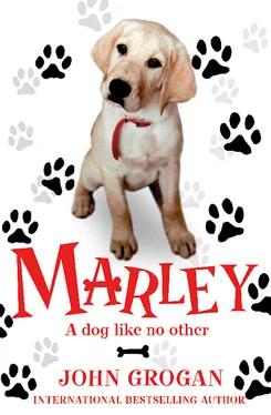 John Grogan Marley: A Dog Like No Other обложка книги