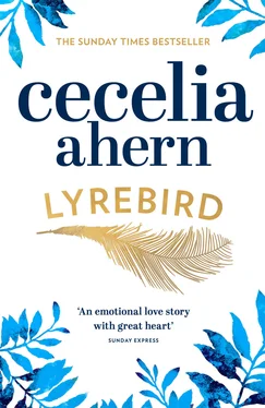 Cecelia Ahern Lyrebird: Beautiful, moving and uplifting: the perfect holiday read обложка книги