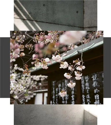 Samuel Zeller on Unsplash background Galen Clout on Unsplash foreground - фото 8