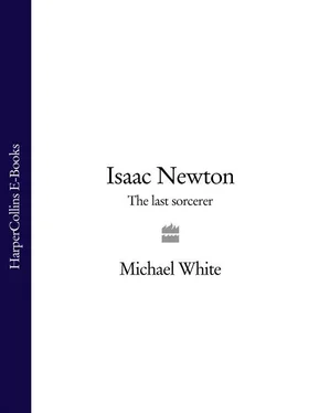 Michael White Isaac Newton: The Last Sorcerer обложка книги