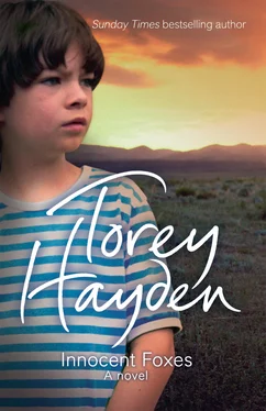 Torey Hayden Innocent Foxes: A Novel обложка книги