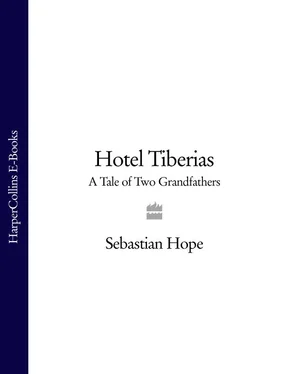 Sebastian Hope Hotel Tiberias: A Tale of Two Grandfathers обложка книги