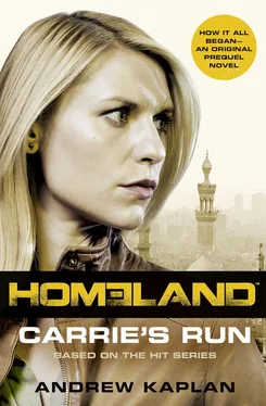 Andrew Kaplan Homeland: Carrie’s Run обложка книги