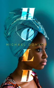 Michael Donkor Hold: An Observer New Face of Fiction 2018 обложка книги