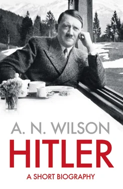 A. Wilson Hitler: A Short Biography обложка книги