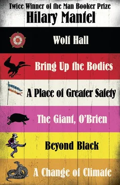 Hilary Mantel Hilary Mantel Collection: Six of Her Best Novels обложка книги
