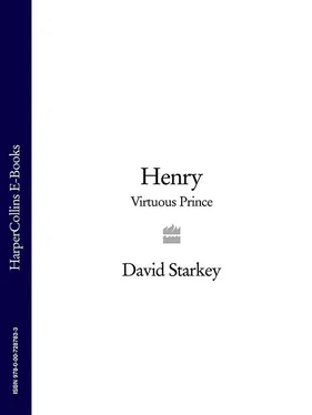 David Starkey Henry: Virtuous Prince обложка книги