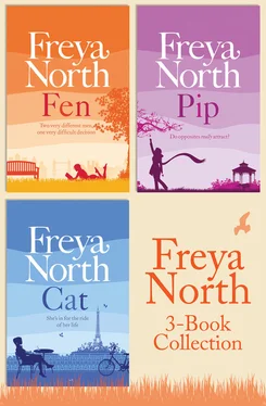 Freya North Freya North 3-Book Collection: Cat, Fen, Pip обложка книги