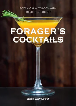 Amy Zavatto Forager’s Cocktails: Botanical Mixology with Fresh Ingredients обложка книги