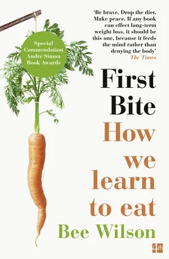 Bee Wilson First Bite: How We Learn to Eat обложка книги