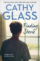 Cathy Glass - Finding Stevie - A teenager in crisis