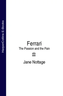 Jane Nottage Ferrari: The Passion and the Pain обложка книги