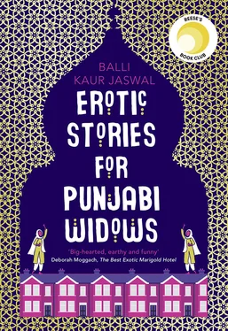 Balli Kaur Jaswal Erotic Stories for Punjabi Widows: A hilarious and heartwarming novel обложка книги