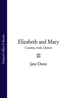 Jane Dunn Elizabeth and Mary: Cousins, Rivals, Queens обложка книги