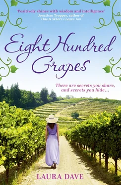 Laura Dave Eight Hundred Grapes: a perfect summer escape to a sun-drenched vineyard обложка книги