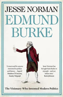 Jesse Norman Edmund Burke: The Visionary Who Invented Modern Politics обложка книги