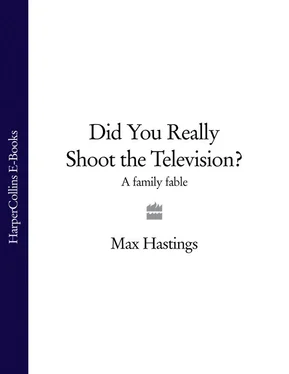 Sir Max Hastings Did You Really Shoot the Television?: A Family Fable обложка книги