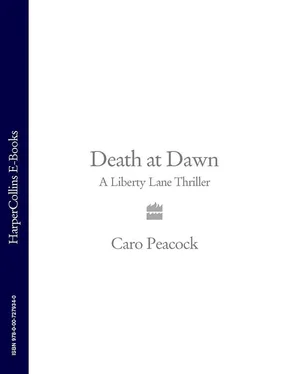 Caro Peacock Death at Dawn: A Liberty Lane Thriller обложка книги