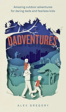 Alex Gregory Dadventures: Amazing Outdoor Adventures for Daring Dads and Fearless Kids обложка книги