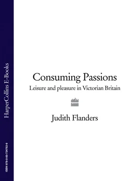 Judith Flanders Consuming Passions: Leisure and Pleasure in Victorian Britain обложка книги