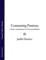 Judith Flanders - Consuming Passions - Leisure and Pleasure in Victorian Britain