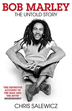 Chris Salewicz Bob Marley: The Untold Story обложка книги