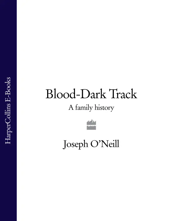 JOSEPH ONEILL BloodDark Track A Family History - фото 1