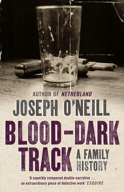 Joseph O’Neill Blood-Dark Track: A Family History обложка книги