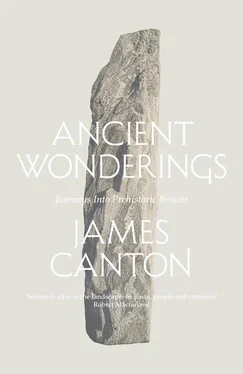 James Canton Ancient Wonderings: Journeys Into Prehistoric Britain обложка книги