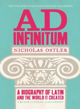 Nicholas Ostler Ad Infinitum: A Biography of Latin обложка книги