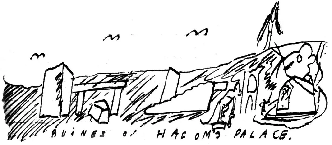 Damus in his life had been cheif of the Cosy Tribe and his death did not - фото 27
