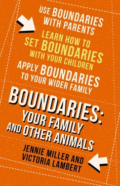 Jennie Miller Boundaries: Step Four: Your Family and other Animals обложка книги